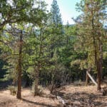 Photo 17 for East Road Ragland Gulch Acreage
