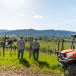 Photo 27 for Aina Vineyard