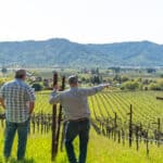 Photo 29 for Aina Vineyard