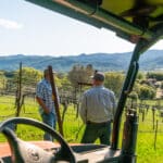 Photo 31 for Aina Vineyard