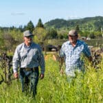 Photo 33 for Aina Vineyard