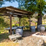 Photo 36 for Aina Vineyard