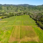 Photo 39 for Aina Vineyard