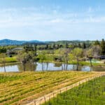 Photo 49 for Aina Vineyard
