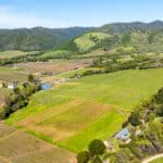 Photo 50 for Aina Vineyard