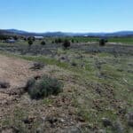 Photo 13 for Skyline Homesite