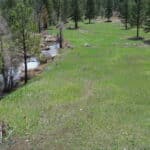 Photo 14 for Johnson Creek Meadow