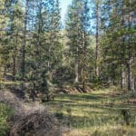 Photo 13 for 539 acres East Road