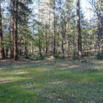 Photo 14 for 539 acres East Road