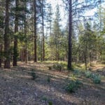 Photo 15 for 539 acres East Road