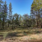 Photo 16 for 539 acres East Road