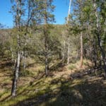 Photo 18 for 539 acres East Road