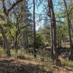 Photo 19 for 539 acres East Road