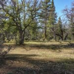 Photo 22 for 539 acres East Road