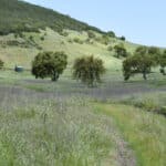 Photo 2 for Goat Camp Ranch