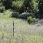 Photo 18 for Goat Camp Ranch