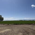 Photo 5 for Reed Ranch
