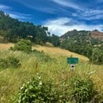 Photo 4 for McNab Crag Ranch