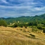 Photo 6 for McNab Crag Ranch