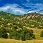 Photo 7 for McNab Crag Ranch