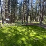 Photo 22 for Calpine Forest Hideaway