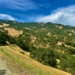 Photo 8 for McNab Crag Ranch