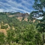 Photo 12 for McNab Crag Ranch