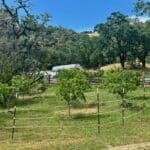 Photo 42 for McNab Crag Ranch