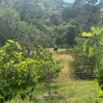 Photo 43 for McNab Crag Ranch