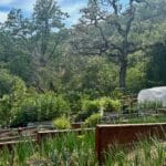 Photo 45 for McNab Crag Ranch