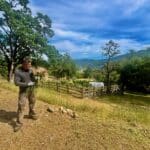 Photo 46 for McNab Crag Ranch