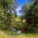 Photo 53 for McNab Crag Ranch