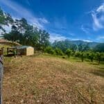 Photo 54 for McNab Crag Ranch