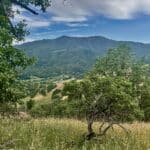 Photo 58 for McNab Crag Ranch