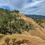 Photo 65 for McNab Crag Ranch