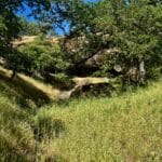 Photo 66 for McNab Crag Ranch