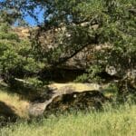 Photo 67 for McNab Crag Ranch