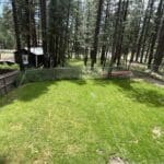 Photo 7 for Calpine Forest Hideaway