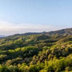 Photo 35 for North Mayacamas Ranch