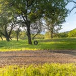 Photo 38 for North Mayacamas Ranch