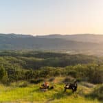 Photo 45 for North Mayacamas Ranch