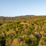 Photo 52 for North Mayacamas Ranch