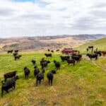 Photo 5 for Pritchard Sumner Ranch