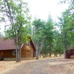 Photo 1 for Log Home in the Pines