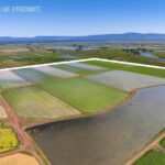 Photo 92 for Fall River Wild Rice Farm