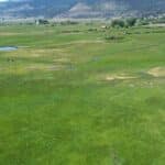 Photo 17 for Fort Bidwell Cattle Ranch