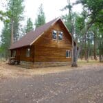 Photo 3 for Log Home in the Pines