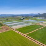 Photo 3 for Fall River Wild Rice Farm