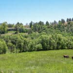 Photo 3 for MJ Ranch