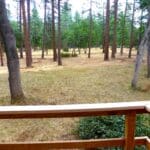 Photo 32 for Log Home in the Pines